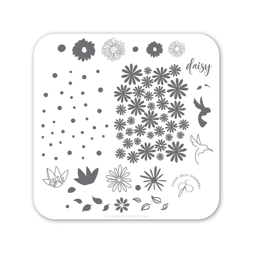 CLEAR JELLY PLATE DAISY DO, DAISY DON'T - Purple Beauty Supplies