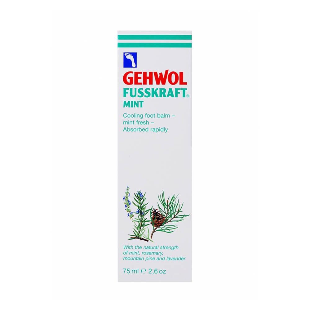 GEHWOL FUSSKRAFT (MINT) 2.5 OZ/75 ML - Purple Beauty Supplies