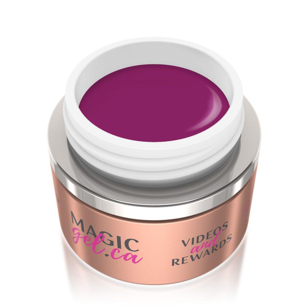 MAGIC GEL PAINT RICH PLUM #95 - Purple Beauty Supplies